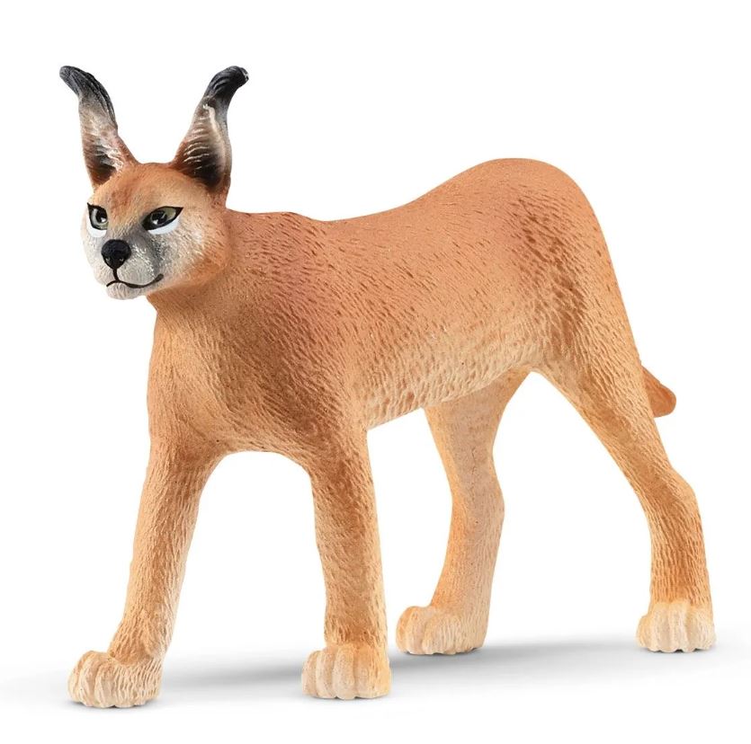 Schleich Karakal Weibchen 14867