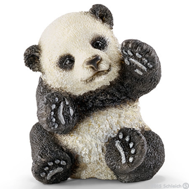 Panda Junges, spielend 14734