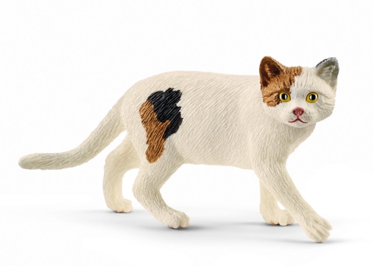 Schleich Amerikanische Kurzhaarkatze 13894