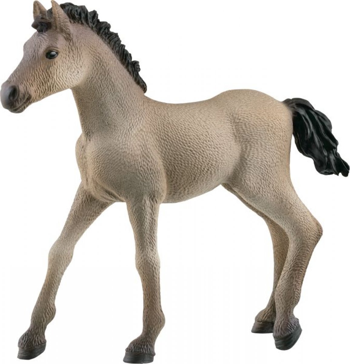 Schleich Criollo Definitivo Fohlen 13949