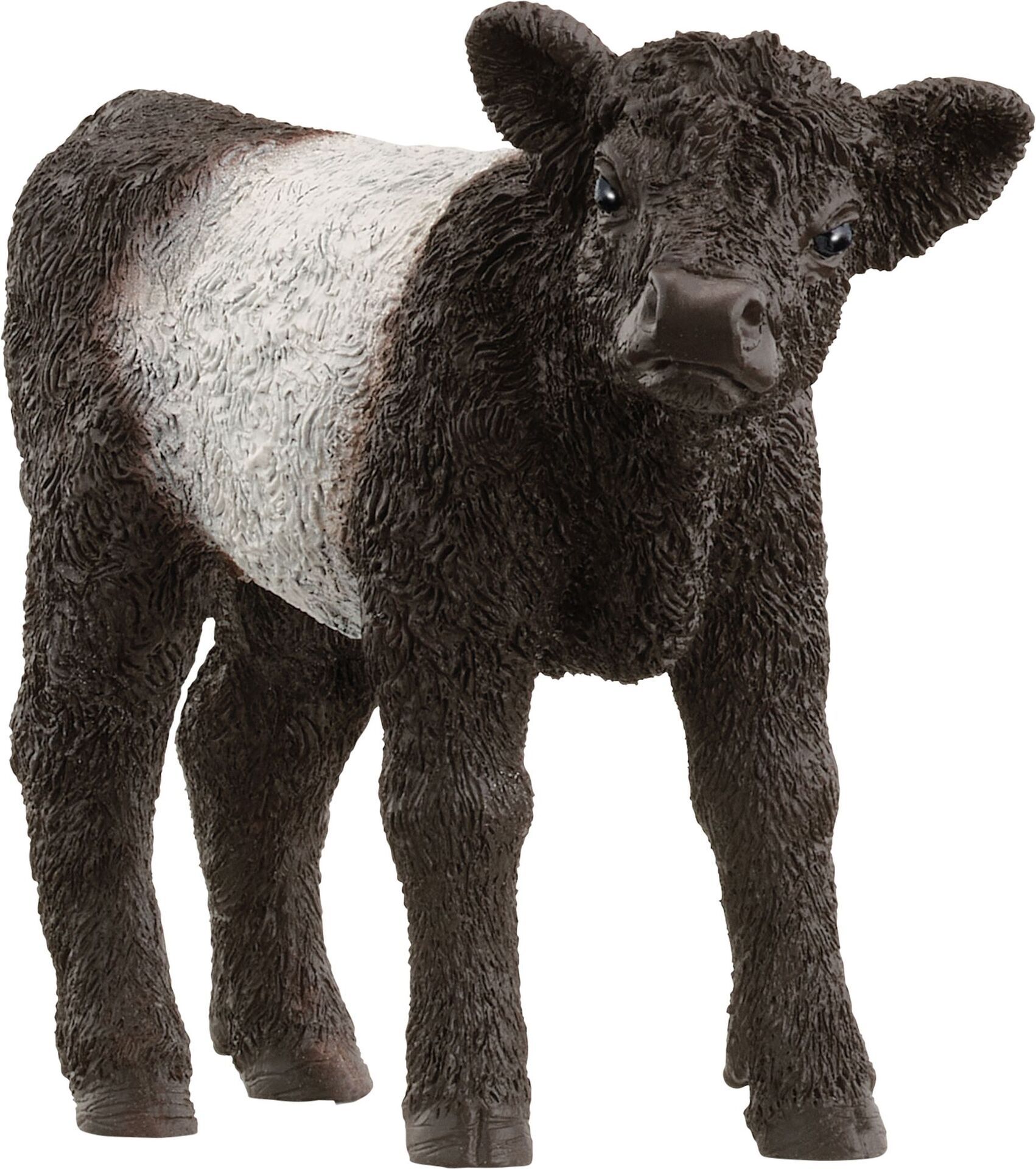 schleich® FARM WORLD 13969 Galloway Kalb