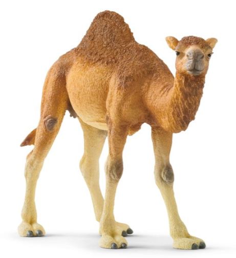 Schleich Dromedar 14832