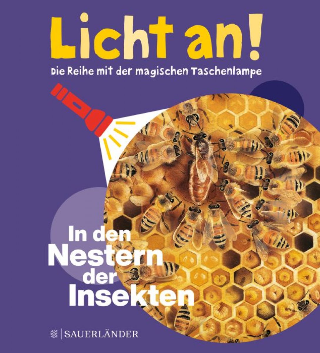 Licht an! In den Nestern der Insekten