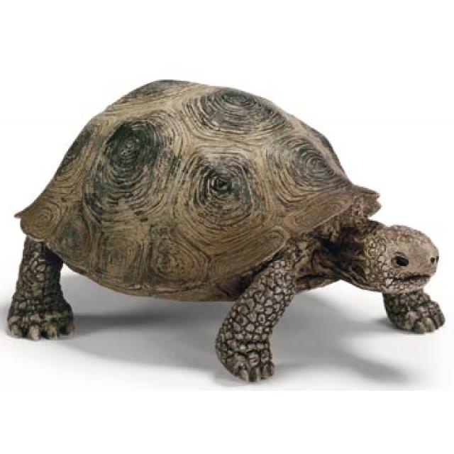 Schleich Riesenschildkröte 14824