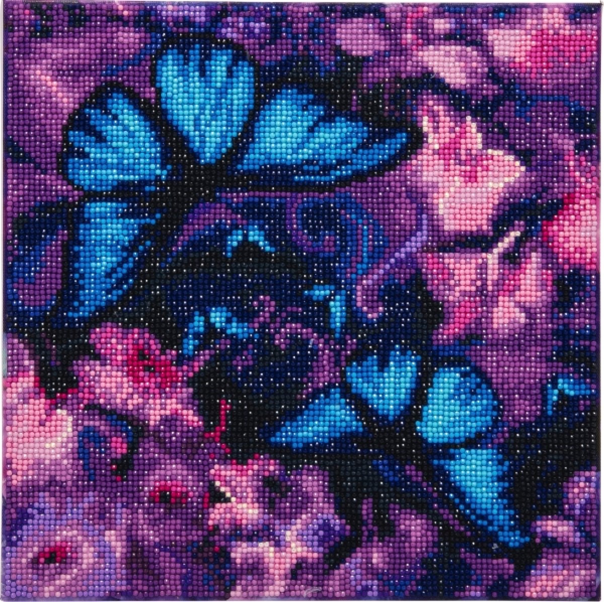 Crystal Art Schmetterling 30 x 30cm