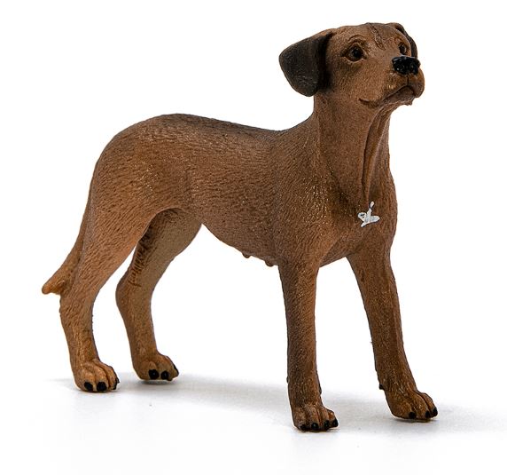 Schleich Rhodesian Ridgeback 13895