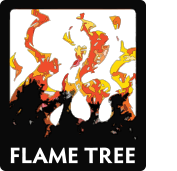 Flame Tree