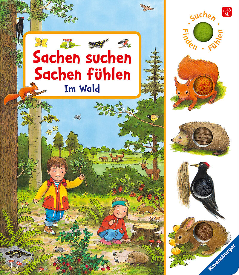 Sachen suchen, Sachen fühlen: Im Wald