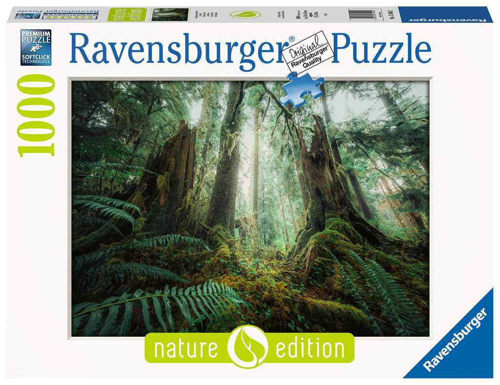 Puzzle 1000 Teile Faszinierender Wald 17.494