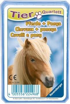 Quartett: Pferde + Ponys