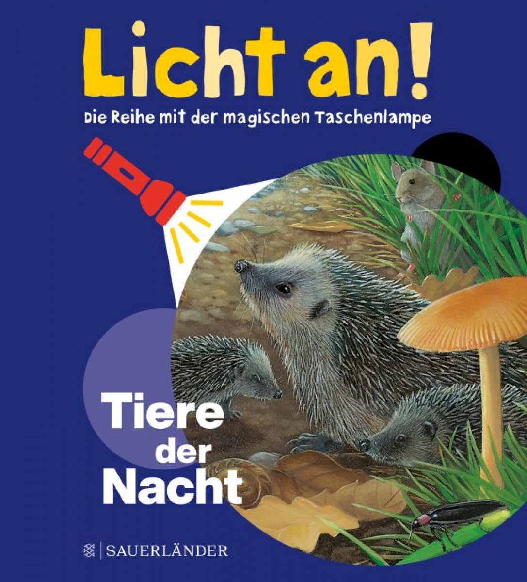 Licht an! Tiere der Nacht