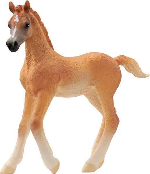 schleich® HORSE CLUB 13984 Araber Fohlen