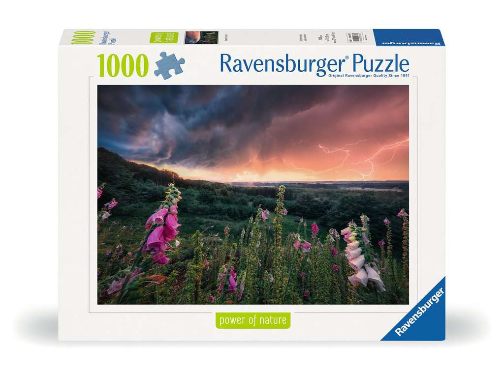 Ravensburger Puzzle 1000 Teile Ein Sturm zieht auf 00.793