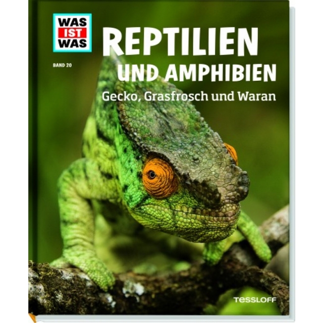 Was ist was? 20 Reptilien und Amphibien