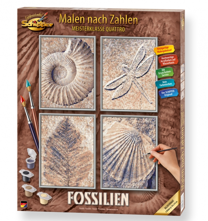 Schipper Fossilien Quattro 4 Bilder 18x24cm